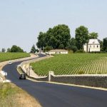 Bordeaux Vineyard France