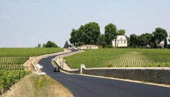 Bordeaux Vineyard France