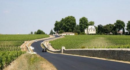 Bordeaux Vineyard France