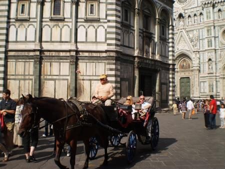 Horse Carriage at Florence