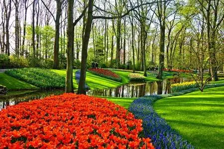 Keukenhof Gardens