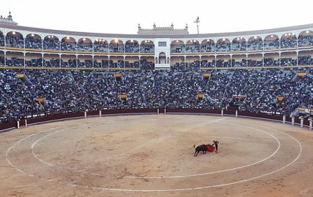 Bullfight in Madrid