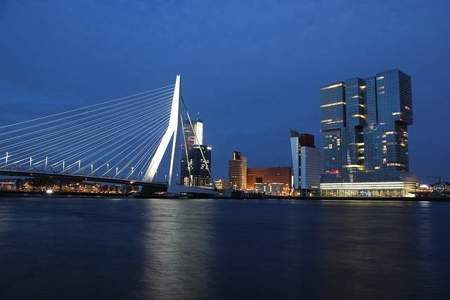Rotterdam City & Erasmus Bridge