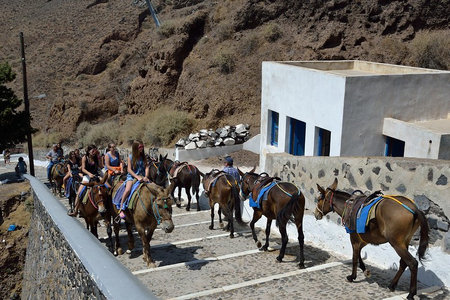 Donkey ride Santorini