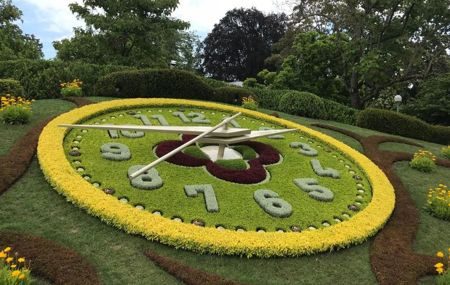 Flower Clock Geneva