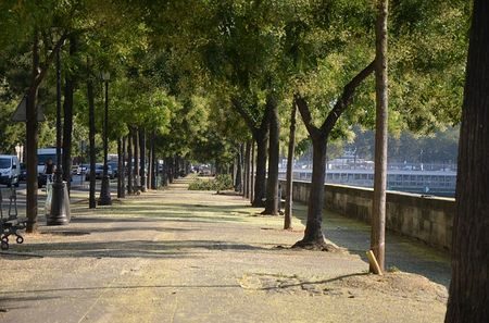 A walkway in Paris