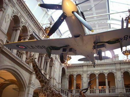 Plane & Giraffe at Entryway