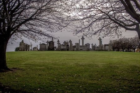 Lush lawns at Glasgow Necropolis