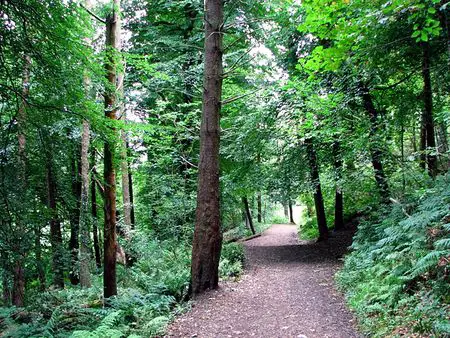 Cave Hill Country Park Belfast