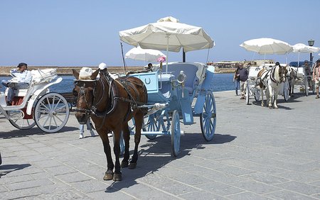 Horse Carriages in Chania